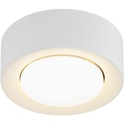 Argon Elora plafón 1x12 W blanco 8915