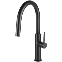 Deante Evora grifo de cocina de pie negro BQJEN62M