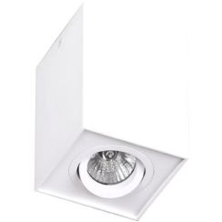 MaxLight Basic lámpara de techo 1x50 W blanco C0070