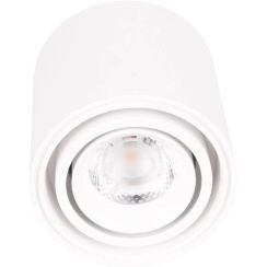 MaxLight Fix lámpara de techo 1x6 W blanco C0256