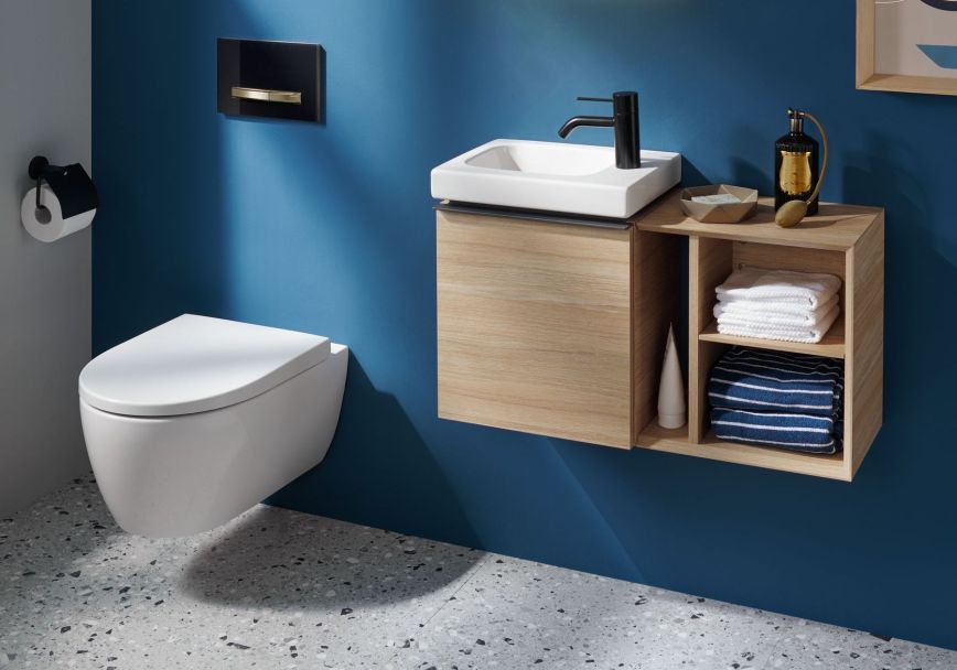 ¿Cómo deshacerse de los pececillos de plata del baño? Consejos