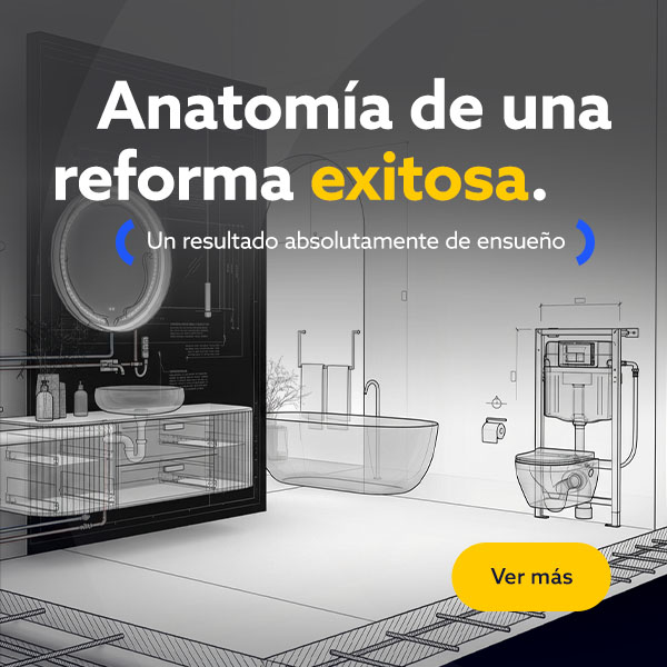 Anatom&iacute;a de una reforma exitosa 